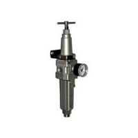 Фильтр с регулятором давления SMC AW40-F02G-2-B-X425