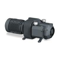 Пластинчато-роторный вакуумный насос Busch Seco DC 0140 C